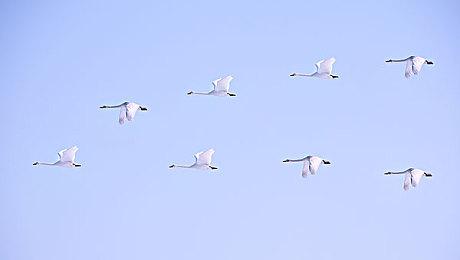 《光环：无限》发布更新 增加每日前六场比赛经验值